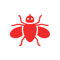 House Fly Image