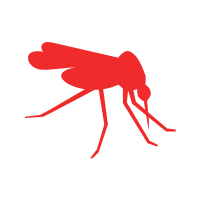 Mosquito Image