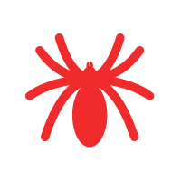 Spider Image